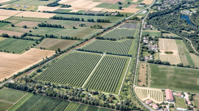 Agrivoltaico Cassano d'Adda