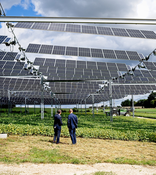 Scopri come integrare biodiversità, energia e comunità nel tuo progetto agrivoltaico
