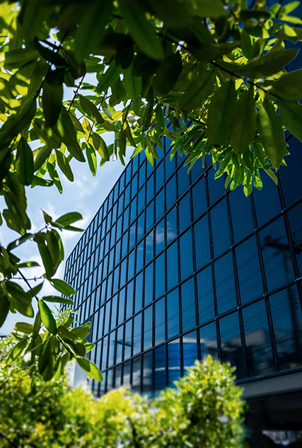 Ecologia e Biodiversità_Soluzioni green di SOCOTEC Italia
